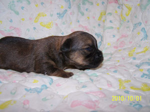 click here to see me grow