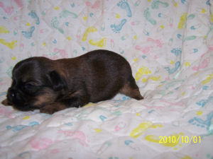 click here to see me grow