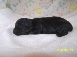 click here to see me grow